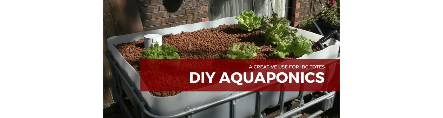 A Creative Use for IBC Totes: DIY Aquaponics