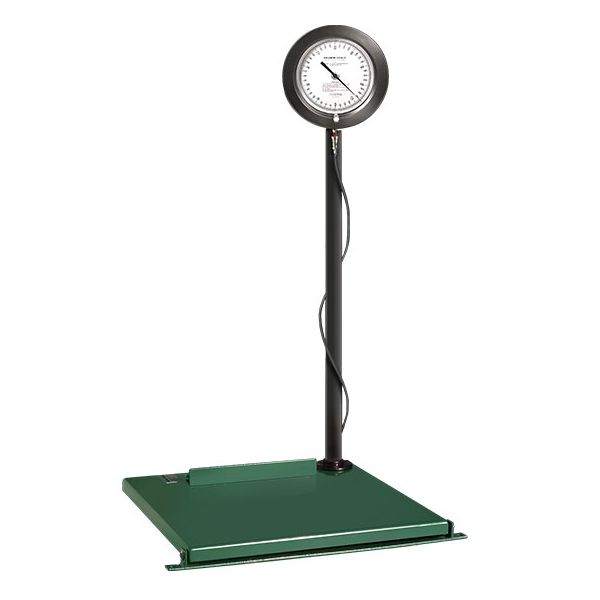 Explosion Proof Self Powered Scale With Epoxy Coated Platform