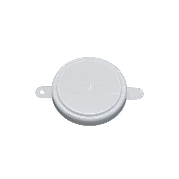 2 Inch Round Head Steel Capseal - Plain