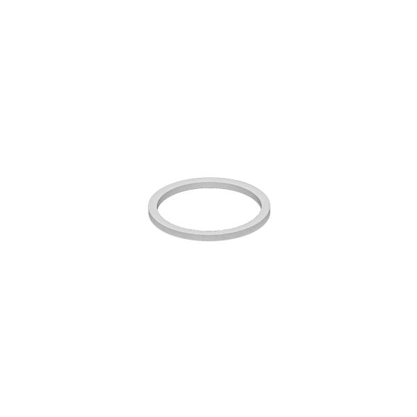 Replacement gasket for 2 inch plastic plug