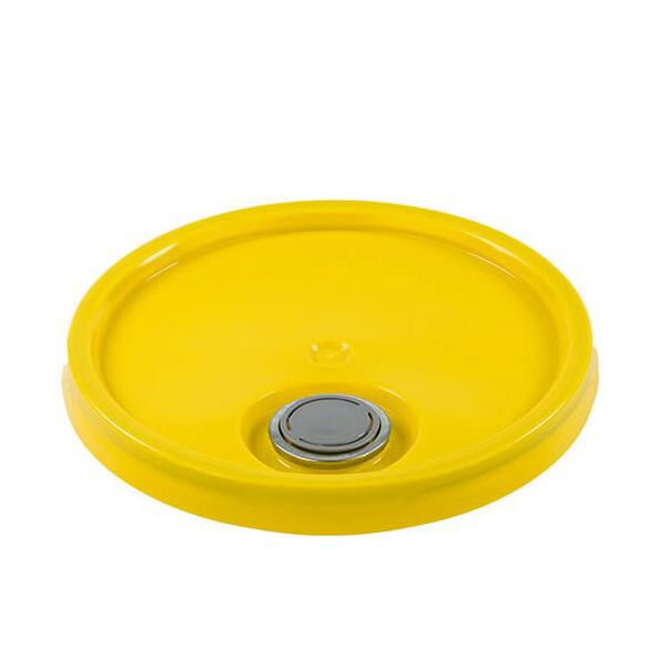 Pail lid with spout