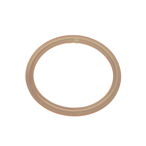 Poly Drum Plug Gaskets 2 Inch NPS