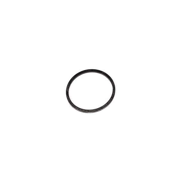 Drum Plug Gasket 2  Inch NPS