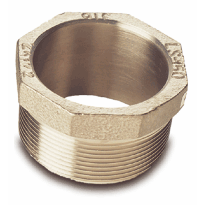2 Inch NPS 316 Stainless Steel Bung Adapter