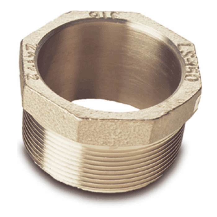 2 Inch NPS 316 Stainless Steel Bung Adapter