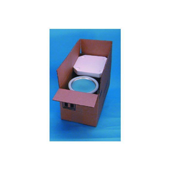 HAZMAT UN 4G Packaging With Two - 1 Gallon Paint Cans