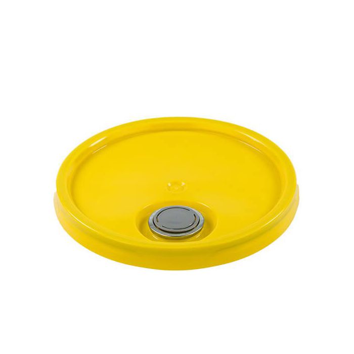 Pail lid with spout