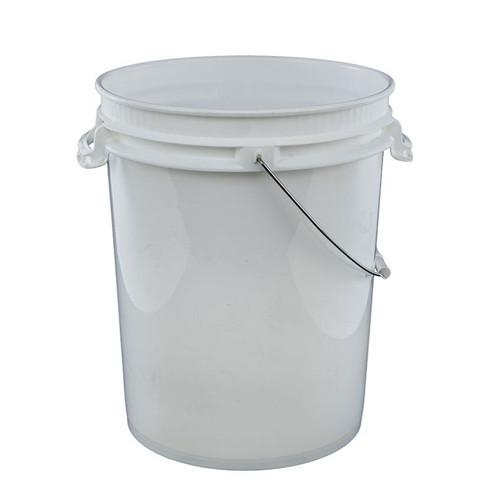 Plastic pail with carry handles
