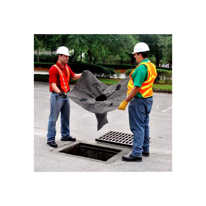 oil and sediment drain guard