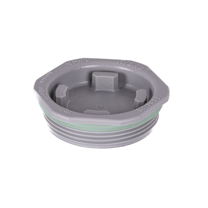 2 Inch Hex Head VGII® Plug - Thread Down