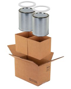 Two 1 Gallon Paint Can 4G shipper