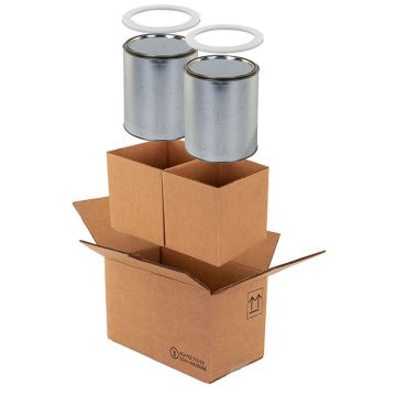 Two 1 Gallon Paint Can 4G shipper