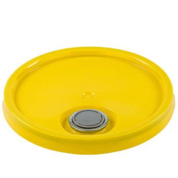 Pail lid with spout