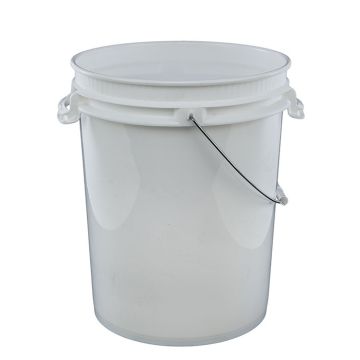 Plastic pail with carry handles