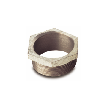 2" SS Bung Adapter For Finish Thompson Air and Electric Pumps