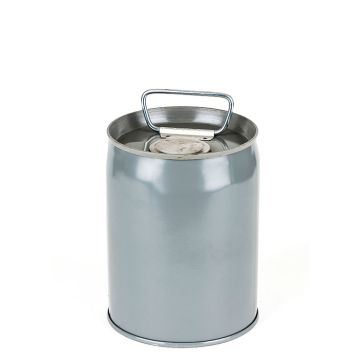 1 Gallon Closed Head Steel Pail with Flexspout - Gray
