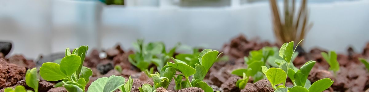 different types of fiber drums