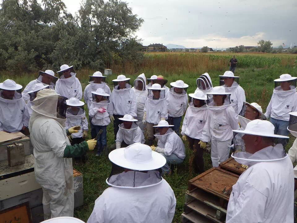 Beekeeping classes