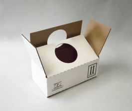 Hazmat Shipper Box Holds One - 1 Quart Paint Can