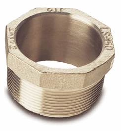 2 Inch NPS 316 Stainless Steel Bung Adapter