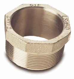 2 Inch NPS 316 Stainless Steel Bung Adapter